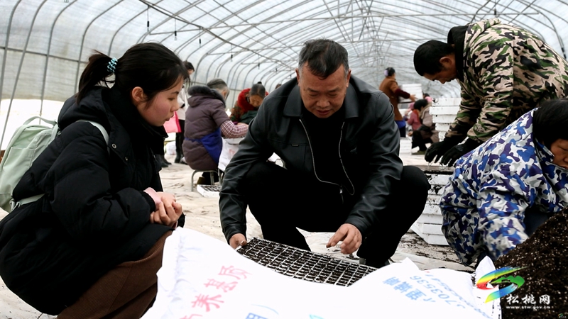 農(nóng)技人員為春耕育苗“保駕護(hù)航”