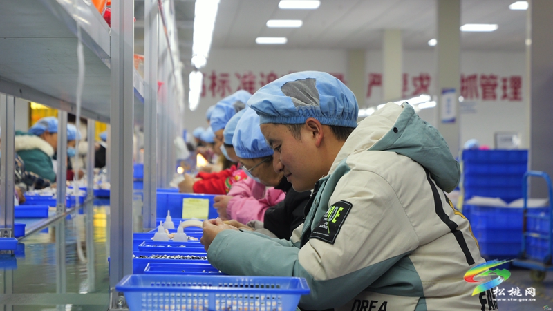 孟溪鎮(zhèn)：企業(yè)節(jié)后復(fù)工復(fù)產(chǎn)勁頭足