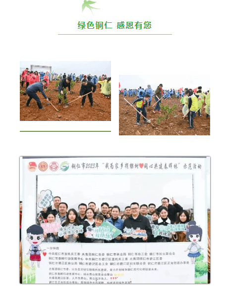 銅仁市“我為家鄉(xiāng)捐棵樹·同心共建春暉林”邀您“上春山”！