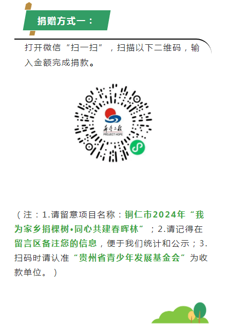 銅仁市“我為家鄉(xiāng)捐棵樹·同心共建春暉林”邀您“上春山”！