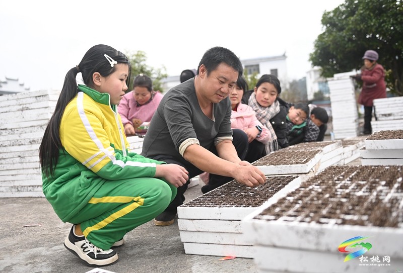 長興堡鎮(zhèn)：春耕“進校園” 學(xué)生體驗春耕播種
