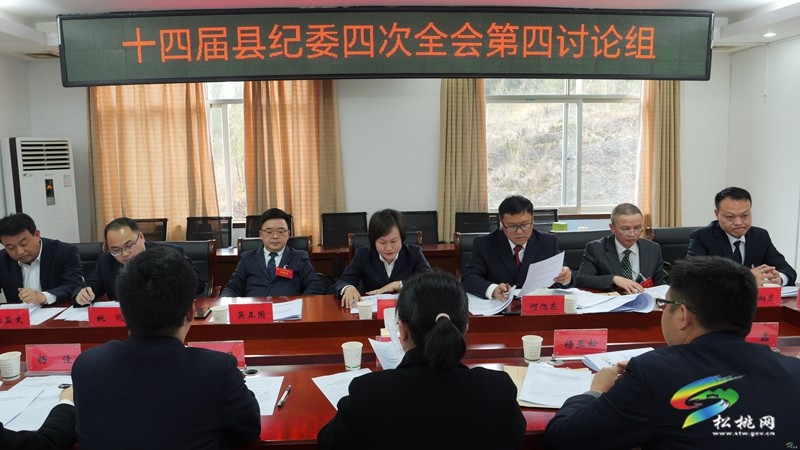 十四屆縣紀(jì)委四次全會進(jìn)行分組討論