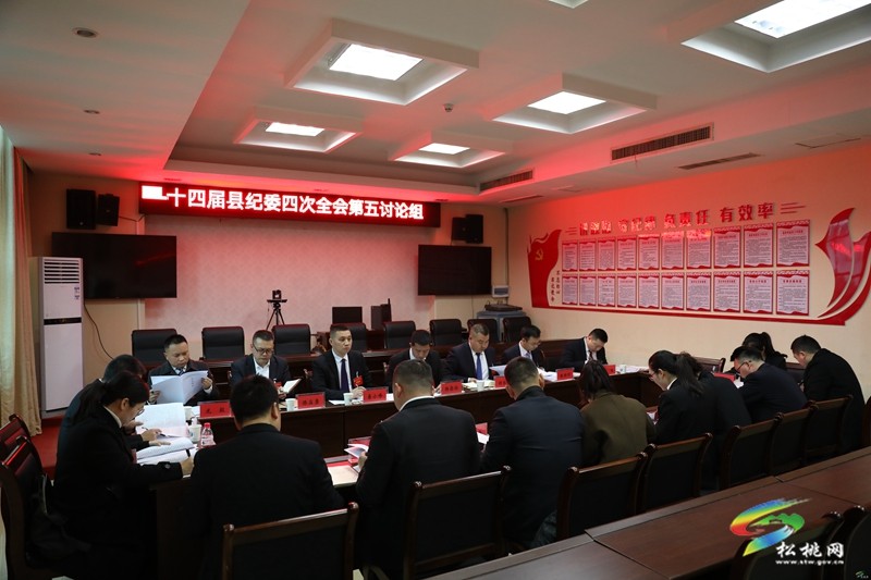 十四屆縣紀(jì)委四次全會進(jìn)行分組討論
