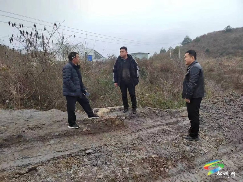 盤信鎮(zhèn)開展禁種鏟毒踏查 杜絕非法種植