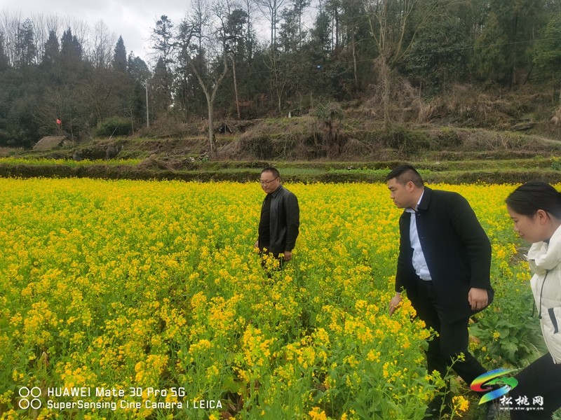 盤信鎮(zhèn)開展禁種鏟毒踏查 杜絕非法種植