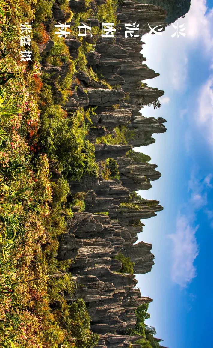 黔地西南：登春山望遠(yuǎn) 踐知行 見天地 見自己