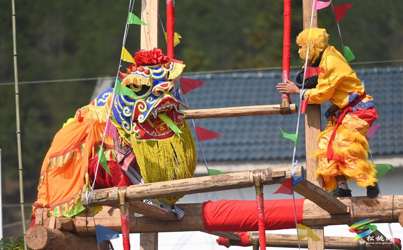 木樹鎮(zhèn)濫泥村舉辦祈福滿地洳樸洳登苗家春社節(jié)，助力“鄉(xiāng)村振興福龍杯”活動