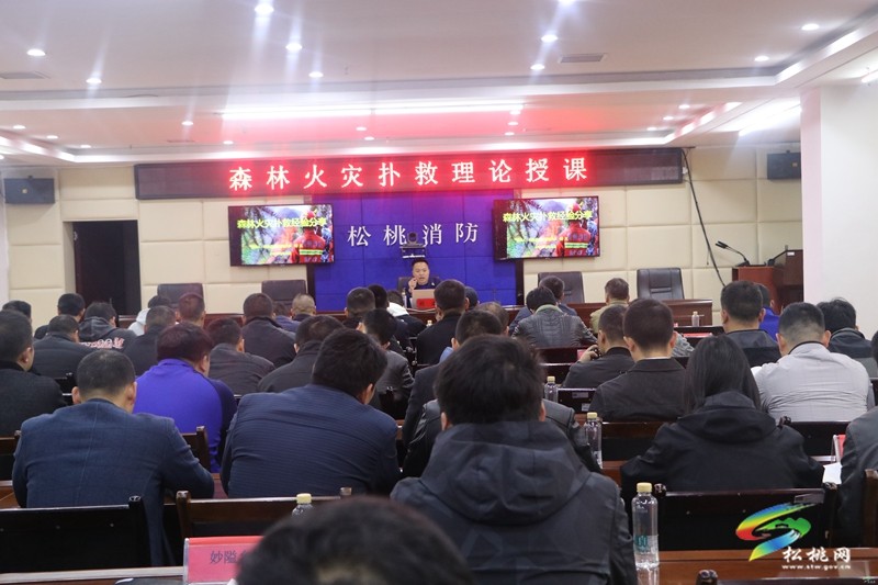 松桃消防開展森林火災(zāi)撲救培訓工作