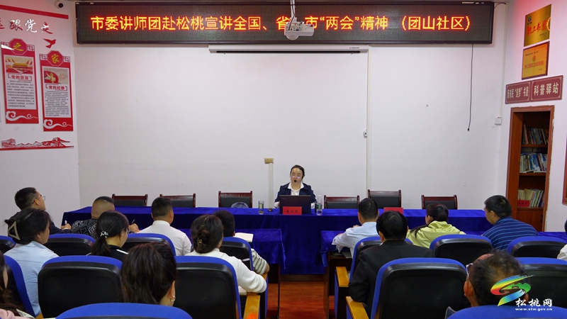 市委講師團來松宣講全國、省、市兩會精神