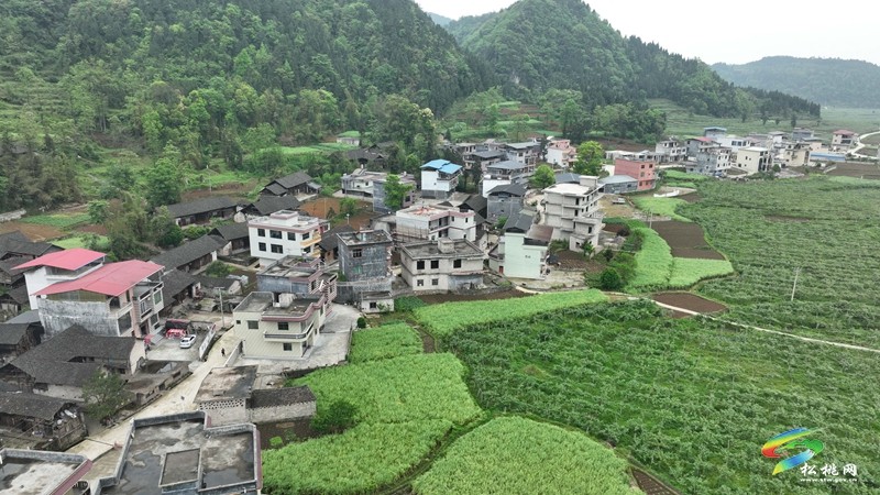 孟溪鎮(zhèn)：推進鄉(xiāng)村治理  繪就美麗畫卷