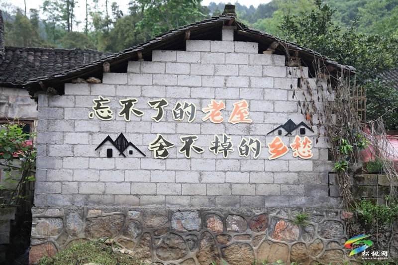 孟溪鎮(zhèn)：推進鄉(xiāng)村治理  繪就美麗畫卷