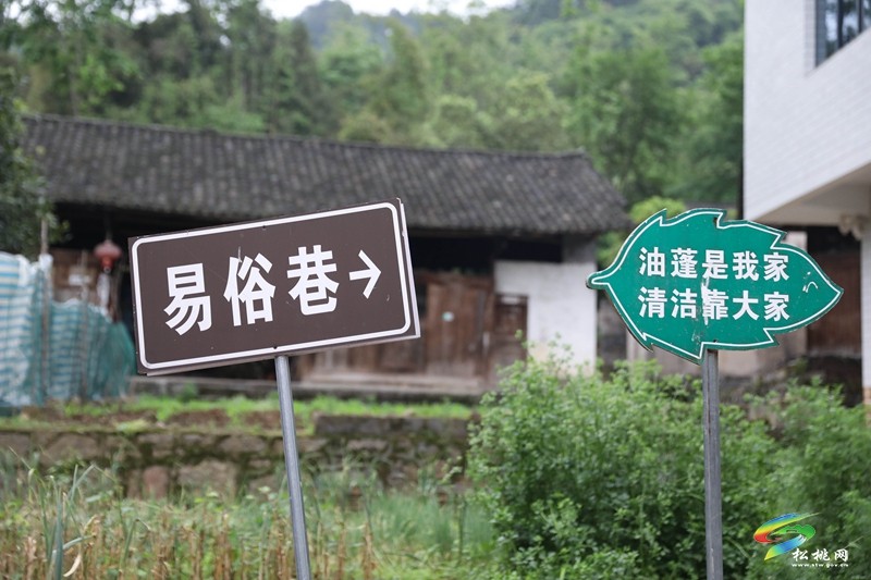 孟溪鎮(zhèn)：推進鄉(xiāng)村治理  繪就美麗畫卷