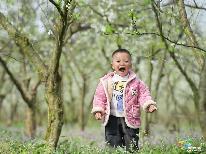 孟溪鎮(zhèn)：推進鄉(xiāng)村治理  繪就美麗畫卷