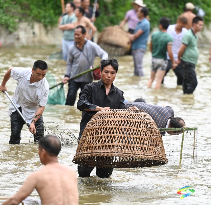 松桃：好戲連“城” 八方賓朋與苗家人狂歡“四月八”