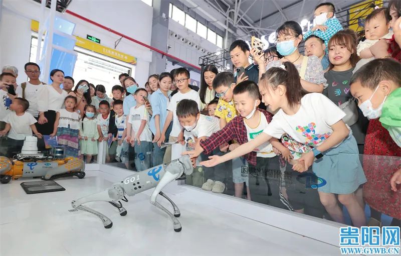 2024數(shù)博會，8月貴陽見！