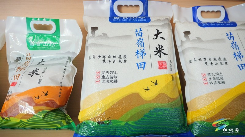 松桃：全力打造粵港澳大灣區(qū)“菜籃子”生產(chǎn)基地