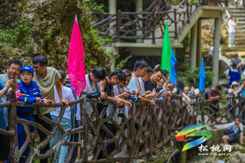 松桃：飛槳濺浪！花式皮劃艇漂流賽“超燃”