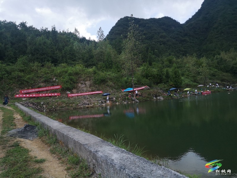 我縣舉辦首屆潛龍洞黃桃節(jié)暨百山溪山塘釣魚比賽活動