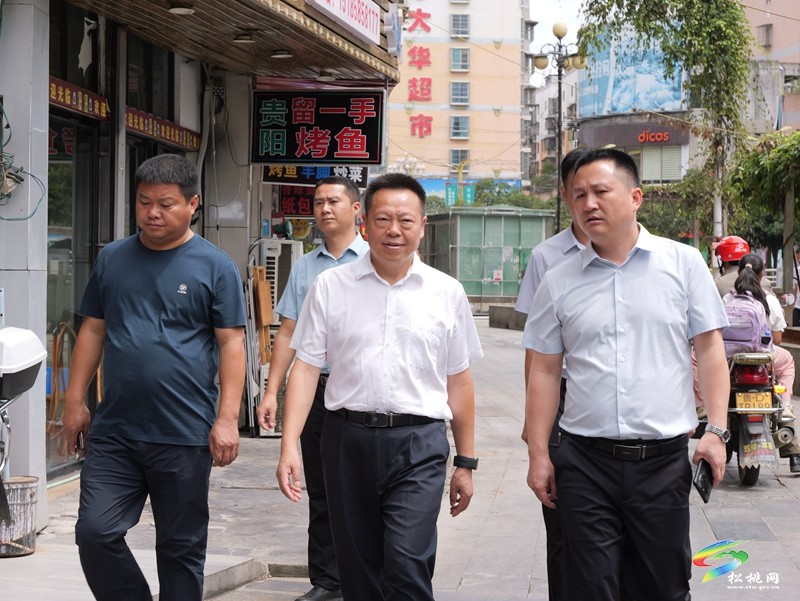 商友江到松桃縣調(diào)研錳污染治理等工作