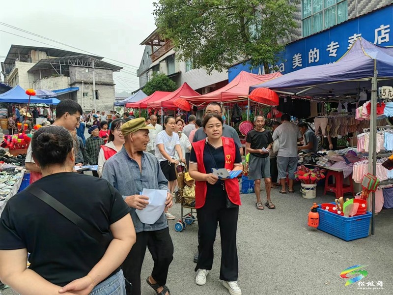 妙隘鄉(xiāng)開展國家網(wǎng)絡(luò)安全宣傳活動