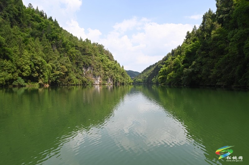 松桃：緊急搶修水泵 保障居民用水
