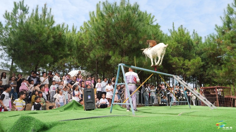 國慶嗨翻天，遛娃又添打卡點(diǎn)！松桃綠宸動物園熱鬧非凡！