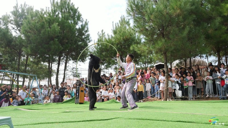 國慶嗨翻天，遛娃又添打卡點(diǎn)！松桃綠宸動物園熱鬧非凡！