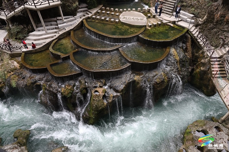 武陵盛景處?共話媒體情