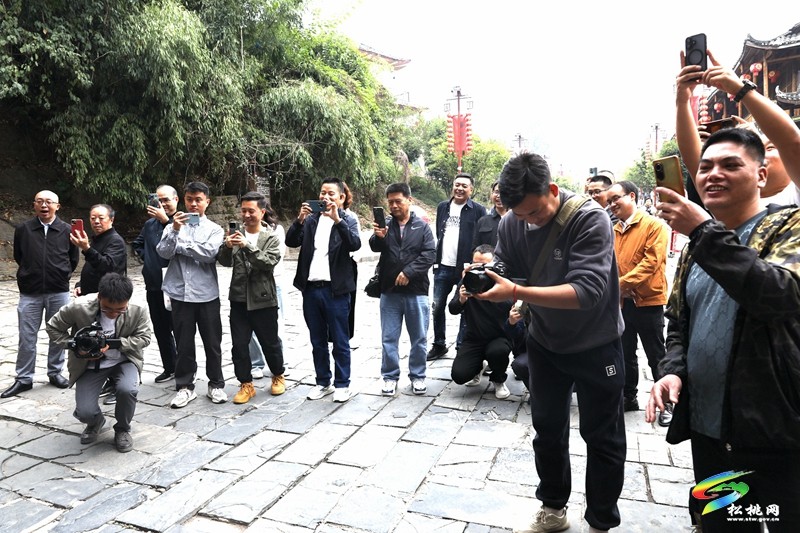 武陵盛景處?共話媒體情