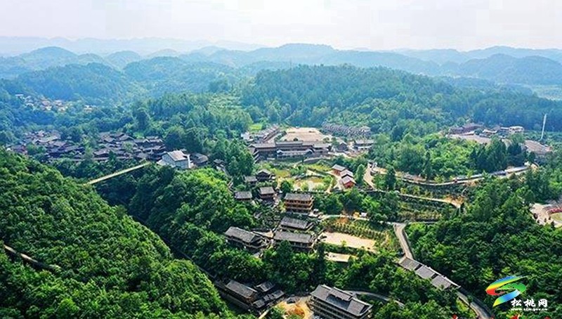 武陵盛景處?共話媒體情