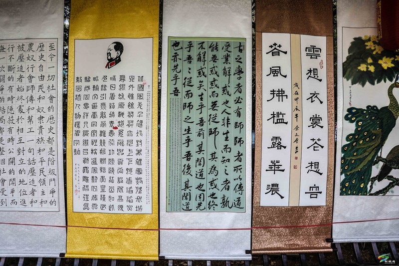 市第二屆四次老年書畫展暨縣書畫展開幕