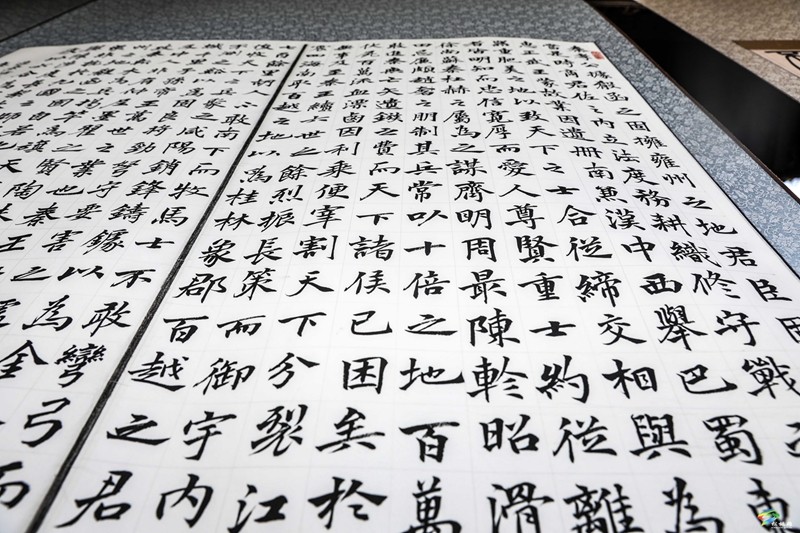 市第二屆四次老年書畫展暨縣書畫展開幕