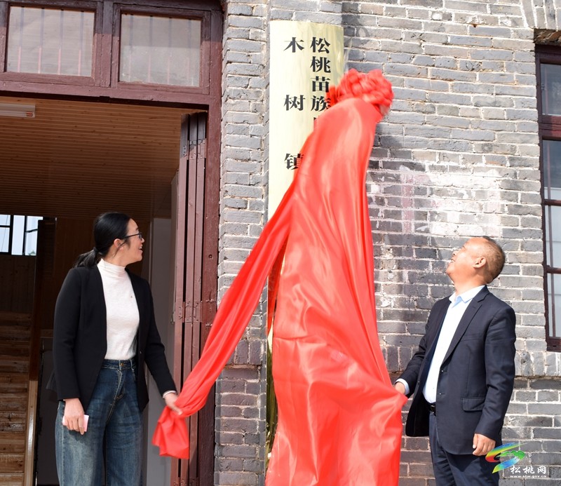 木樹鎮(zhèn)衛(wèi)生院滿地片區(qū)醫(yī)療服務(wù)點(diǎn)揭牌儀式舉行