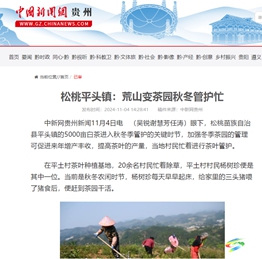 【成績單來了！】松桃2024年11月份對外宣傳成績單