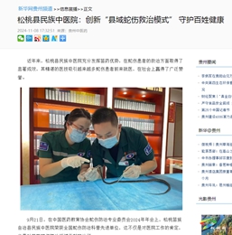 【成績單來了！】松桃2024年11月份對外宣傳成績單