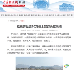 【成績單來了！】松桃2024年11月份對外宣傳成績單
