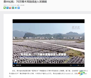 【成績單來了！】松桃2024年11月份對外宣傳成績單