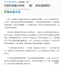 【成績單來了！】松桃2024年11月份對外宣傳成績單