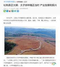【成績單來了！】松桃2024年11月份對外宣傳成績單