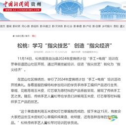 【成績單來了！】松桃2024年11月份對外宣傳成績單