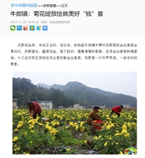 【成績單來了！】松桃2024年11月份對外宣傳成績單