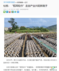 【成績單來了！】松桃2024年11月份對外宣傳成績單