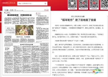 【成績單來了！】松桃2024年11月份對外宣傳成績單