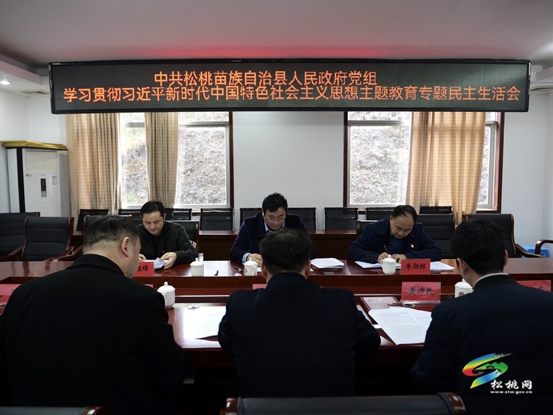 縣人民政府黨組召開學(xué)習(xí)貫徹習(xí)近平新時(shí)代中國(guó)特色社會(huì)主義思想主題教育專題民主生活會(huì)