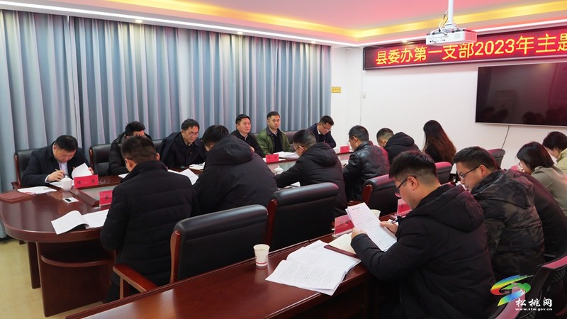 縣委辦第一黨支部召開學(xué)習(xí)貫徹習(xí)近平新時代中國特色社會主義思想主題教育專題組織生活會