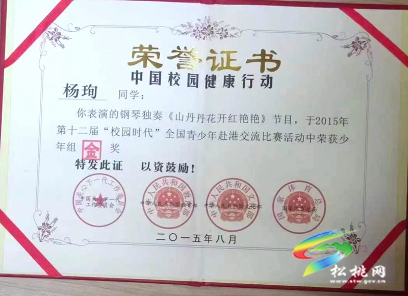 楊珣：苗鄉(xiāng)飛出鋼琴霸王花
