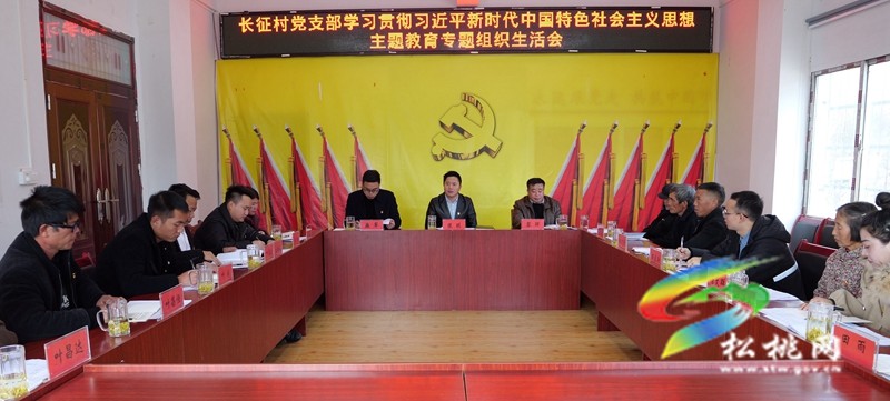 陳琪到聯(lián)系點(diǎn)參加村黨支部主題教育專(zhuān)題組織生活會(huì)