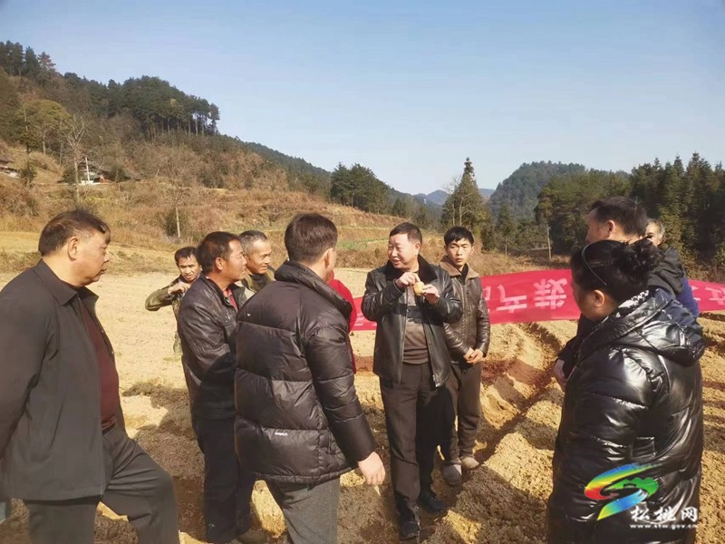盤(pán)信鎮(zhèn):農(nóng)技人員指導(dǎo)洋芋種植