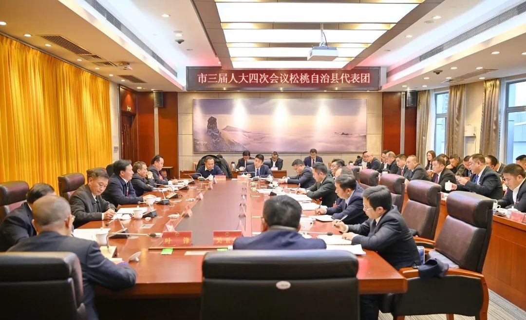 穆嶸坤參加松桃自治縣代表團審議政府工作報告