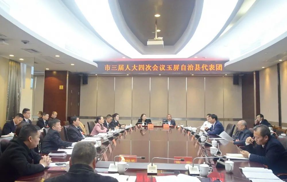 市三屆人大四次會(huì)議各代表團(tuán)繼續(xù)審議政府工作報(bào)告